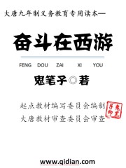 正牌辅助装置